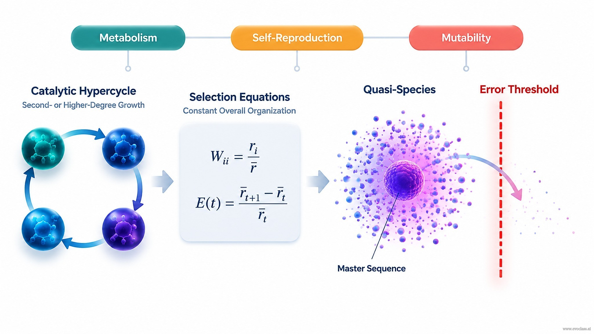 Teaching visual